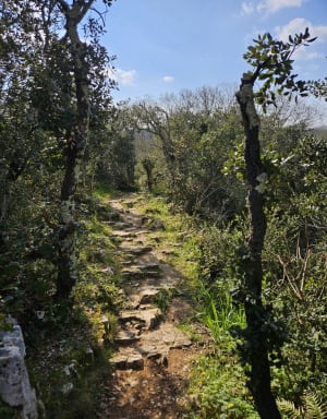 Villetelle et moment hors du temps dans la garrigue - Villetelle - 19