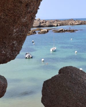 Trégastel et tour de l'île Renote - Trégastel - 116