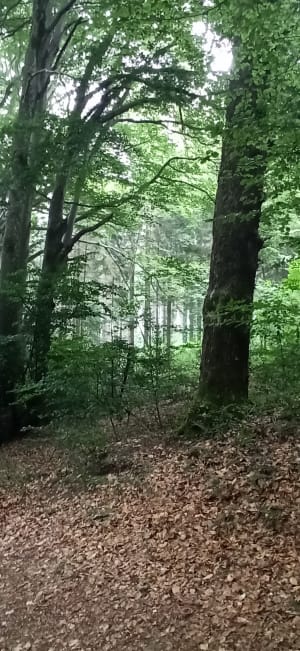 Un petit tour au Lampy - Saissac - 13