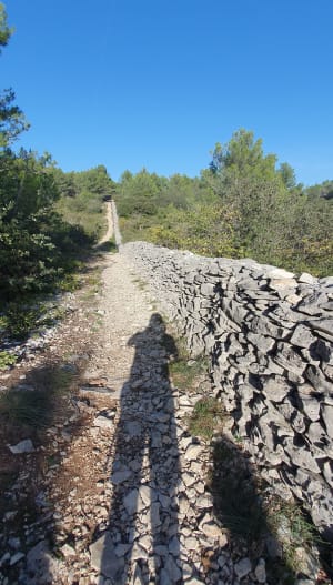 Le mur de la peste dans les hauteurs de Cabrieres d'Avignon - Cabrières-d'Avignon - 7