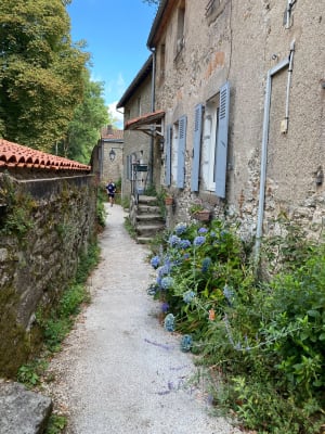 Clisson, entre Sèvre et Moine - Clisson - 13