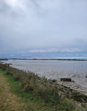 Promenade dans le marais - Fouras - 8