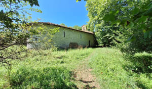 Dans les bois d'Ustaritz - Bénédicte - 2