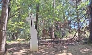 Dans les bois d'Ustaritz - Ustaritz - 3