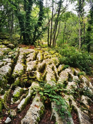 Tour du Roc de Chère - Talloires-Montmin - 20