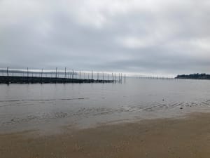 Cap Ferret en Dune du Pilat vanuit een andere hoek - Lège-Cap-Ferret - 8