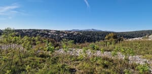 Vue sur le Cap Canaille, depuis Roquefort - Roquefort-la-Bédoule - 2