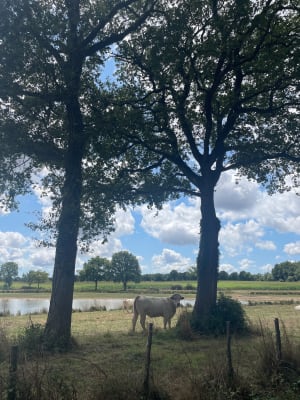 Boucle des Etangs - La Boissière-des-Landes - 6