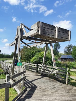 Etang de Romelaëre et niche faunistique - Clairmarais - 44