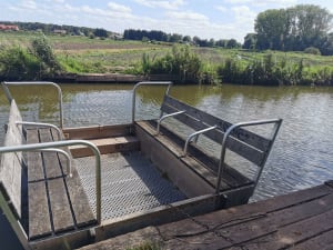 Etang de Romelaëre et niche faunistique - Clairmarais - 45