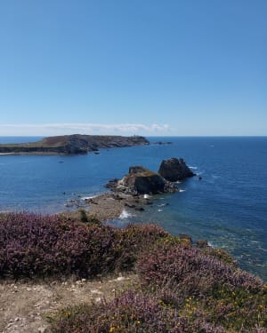 Balade à Camaret-sur-Mer, port et sentier côtier - Camaret-sur-Mer - 11