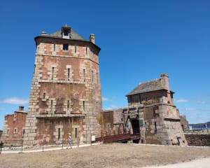 Balade à Camaret-sur-Mer, port et sentier côtier - Camaret-sur-Mer - 14