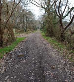 Marais du Syl - Savenay - 7