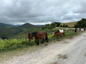 Belle balade au pied de Zuhalmendi - Ascain - 24