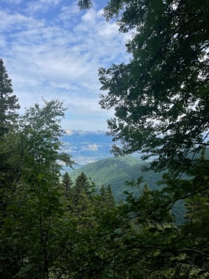 Lac du Crozet et exploration de la faune locale - La Combe-de-Lancey - 13