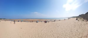 Sortie à vélo de Saint Pierre d’Oléron à la plage du Douhet - Saint-Pierre-d'Oléron - 2