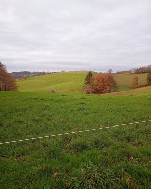 Montée à Puy Capel en redescendant par le Faisan - ALEXANDRA - 2