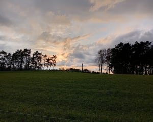 Montée à Puy Capel en redescendant par le Faisan - ALEXANDRA - 3