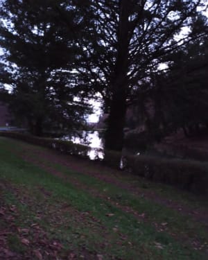 Montée à Puy Capel en redescendant par le Faisan - ALEXANDRA - 5