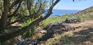 Balade à Rospico plage - Névez - 7