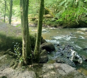 St Julien - site de Corot - Saint-Junien - 13