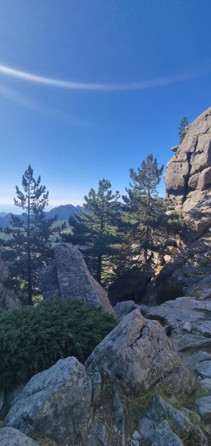 Draai langs de legendarische Aiguilles de Bavella - Bavella - 15