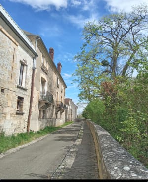 Entre chaussée de Jules et vallée aux Moines - Yannick - 6