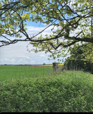 Entre chaussée de Jules et vallée aux Moines - Yannick - 7