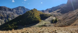 Montée au col de Vars et Chapelle Sainte Marie Madeleine - Vars - 4