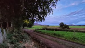 La forêt d'Egaules - Volvic - 17