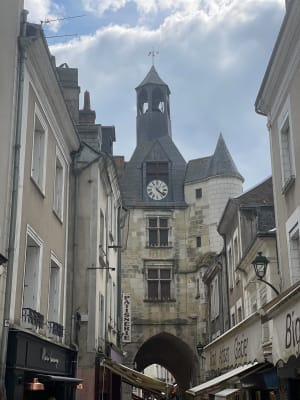Balade entre les terres royales et bords de Loire - Amboise - 19