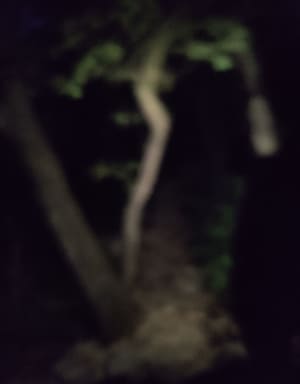 Prachtige kloof van Arcs en kloven van Lamalou - La Garde - 52
