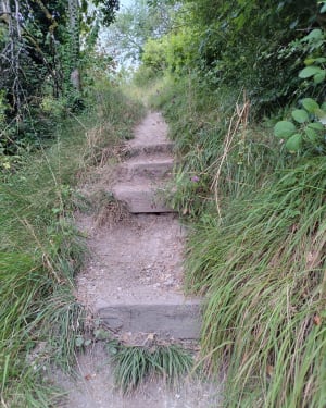 Petit trail des falaises des Andelys et Rois Maudits - Les Andelys - 8