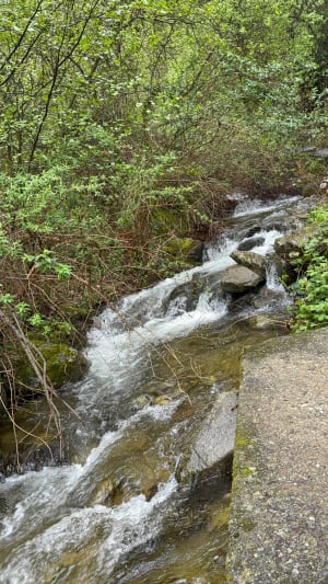 Engelse waterval - Vernet les Bains - Vernet les Bains - 67