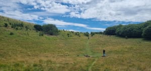 Wandeling van de grot van Sarcouy naar Puy des Goules - Orcines - 11