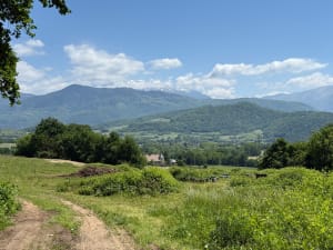 Etang de Haute-Jarrie et réserve naturelle près d'Echirolles - Jarrie - 10