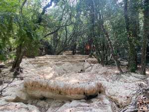 Sources de l'Huveaune - Nans-les-Pins - 79