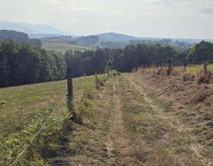 Escapade bien-être entre plaines et vallons de Loucrup - Loucrup - 2