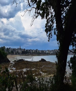Promenade "du Clair de Lune" à Dinard - Dinard - 15
