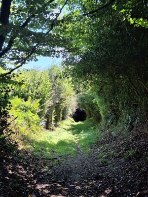 Randonnée au cœur du cotentin : Tamerville - Tamerville - 9