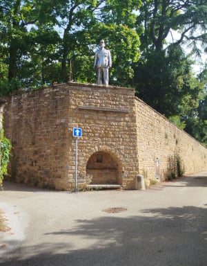 Wandeling in de Monts d'Or en een verfrissend bad - Saint-Cyr-au-Mont-d'Or - 13