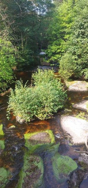 Cascade des Jarrauds - Saint-Martin-Château - 15