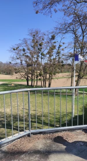 Casemates de la ligne Maginot et moulins, depuis Uffheim - Sierentz - 6