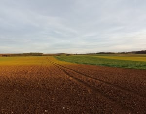 Sortie dominicale au Bois du Chanois - La Résie-Saint-Martin - 4