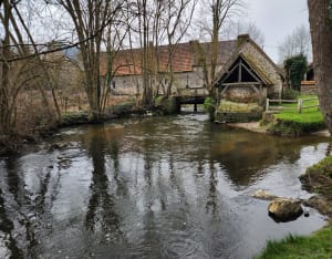 Balade autour de Saint-Martin-de-Nigelles - Saint-Martin-de-Nigelles - 8