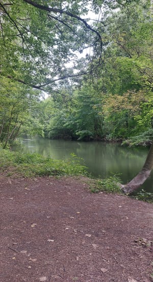 Bords de Somme , chemin de halage et île de Sainte Aragone - Amiens - 6
