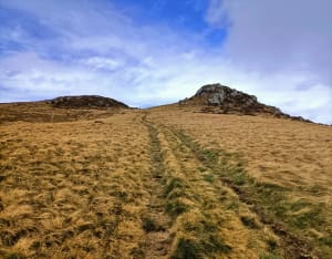 Le plateau du Guéry - Orcival - 35