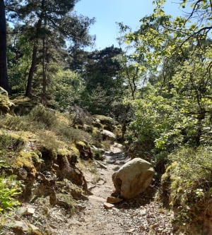 Balade autour de Boissy-le-Cutté, par Rocher Bizet - Boissy-le-Cutté - 9