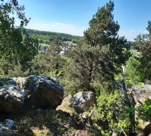Balade autour de Boissy-le-Cutté, par Rocher Bizet - Boissy-le-Cutté - 10