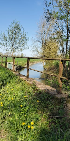 Petit tour des Coins autour de Loire-Authion - Estelle - 3
